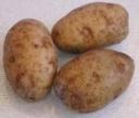 potatoes.jpg